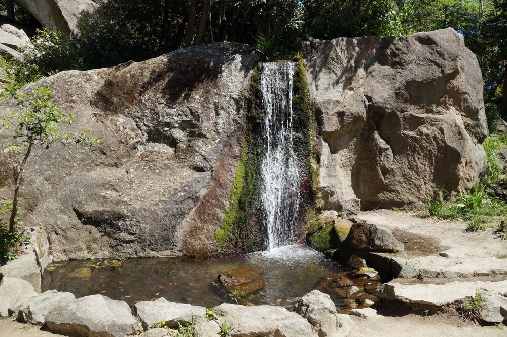 19_Воронцовский дворец_42.JPG