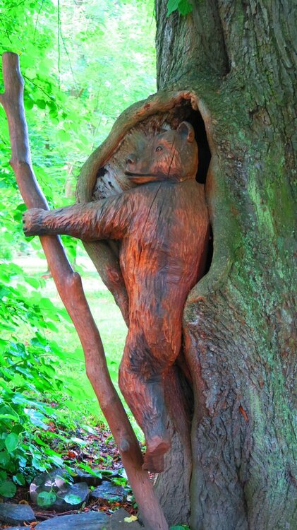 Калининград 395.jpg