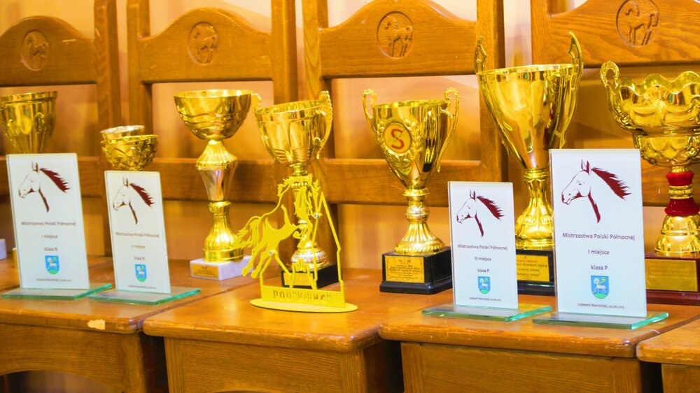 Калининград 315.jpg