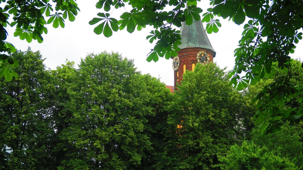 Калининград 156.jpg