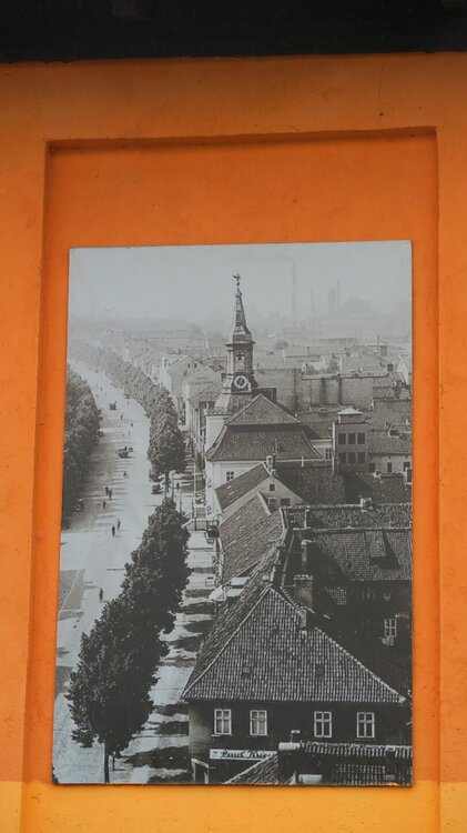 Калининград 626.jpg