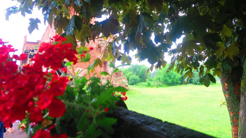 Калининград 089.jpg