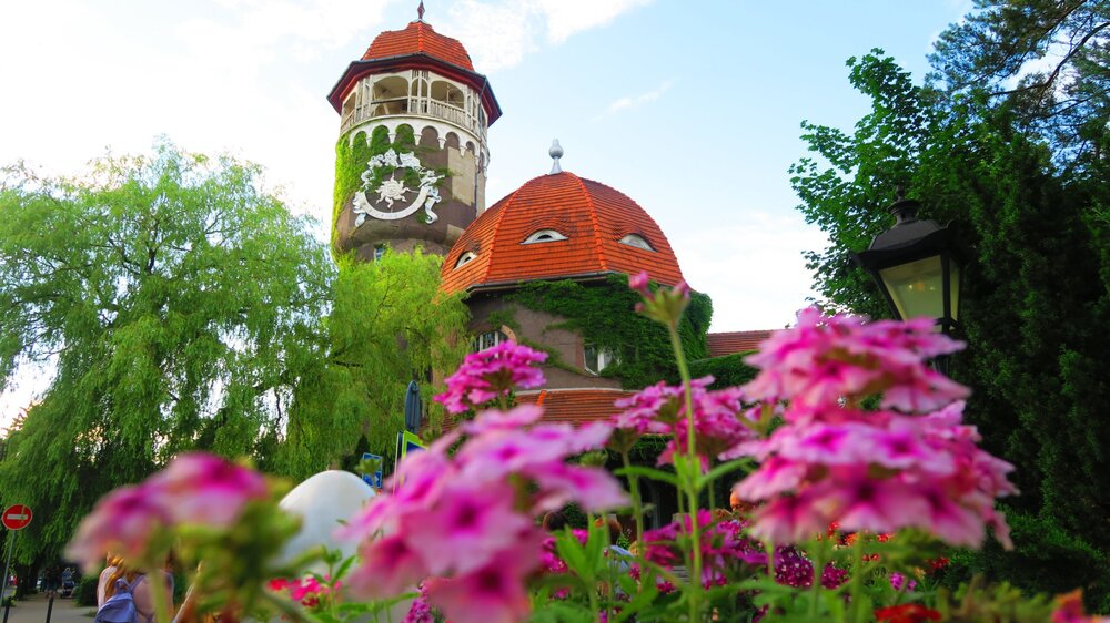 Калининград 421.jpg