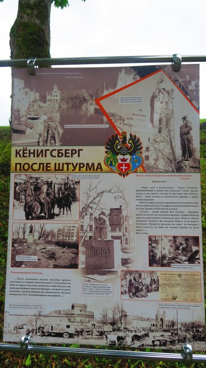 Калининград 802.jpg