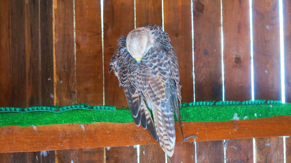 Калининград 846.jpg