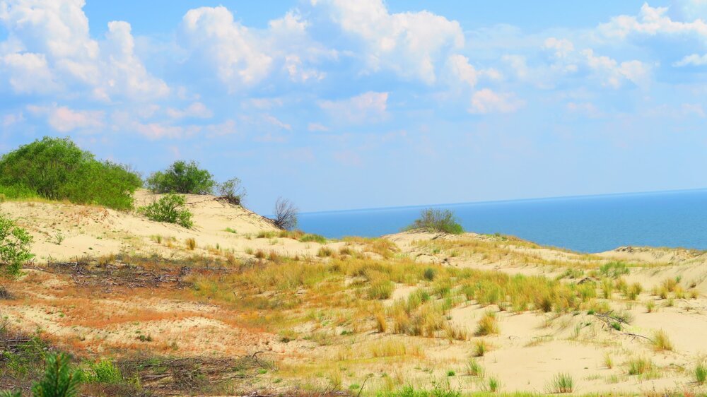 Калининград 502.jpg