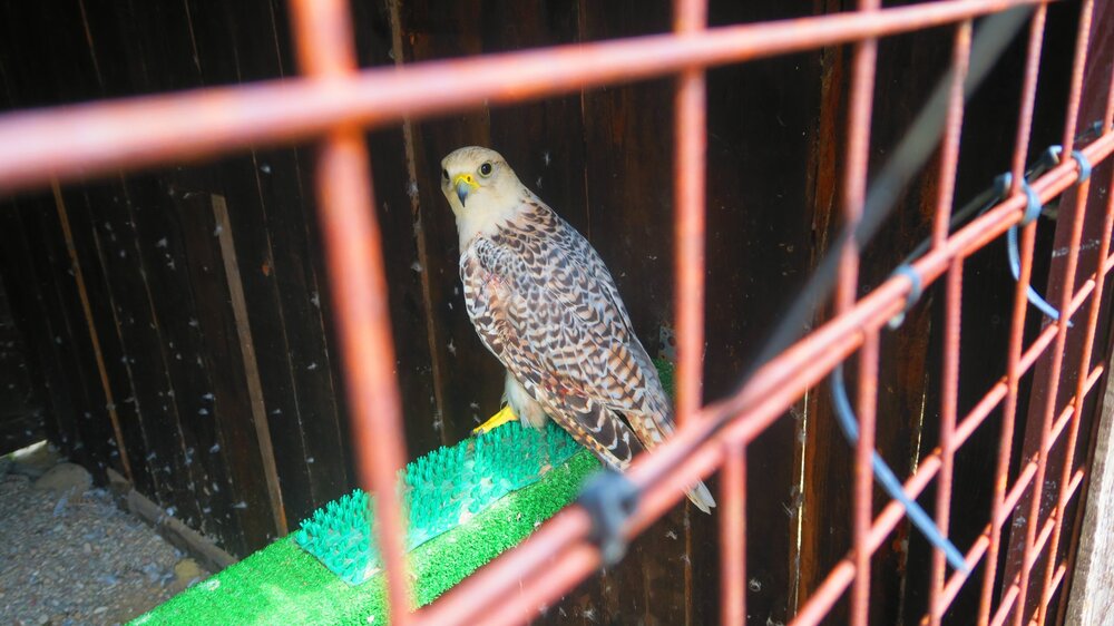 Калининград 845.jpg