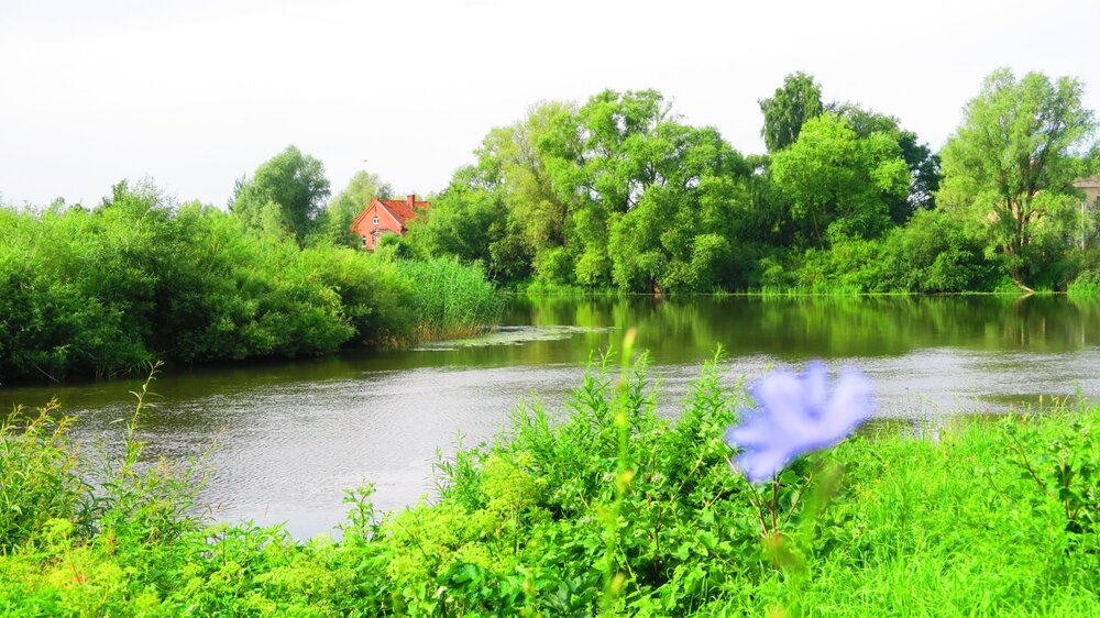 Калининград 266.jpg