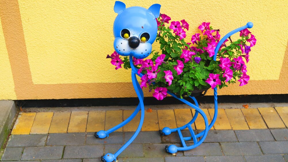 Калининград 548.jpg