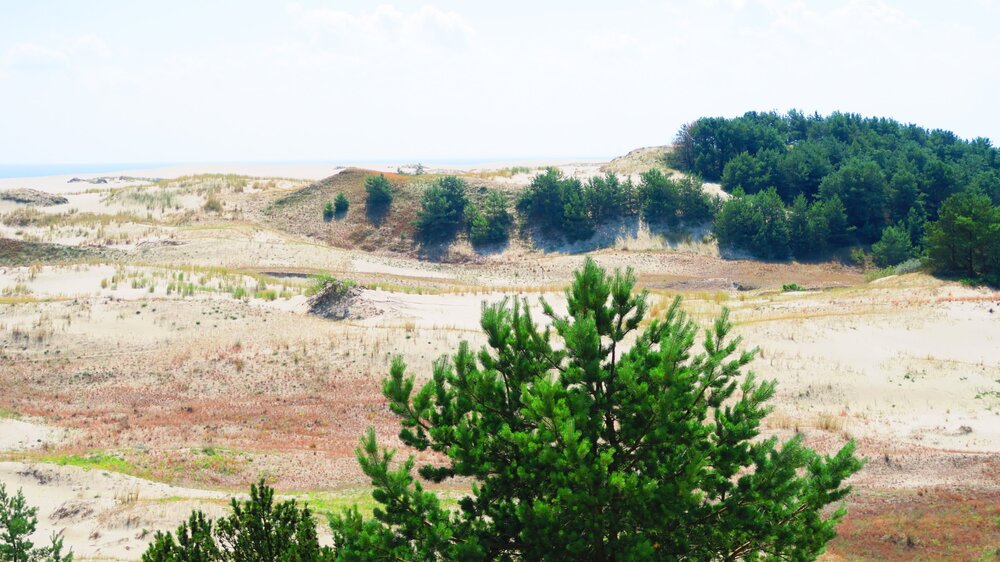 Калининград 495.jpg