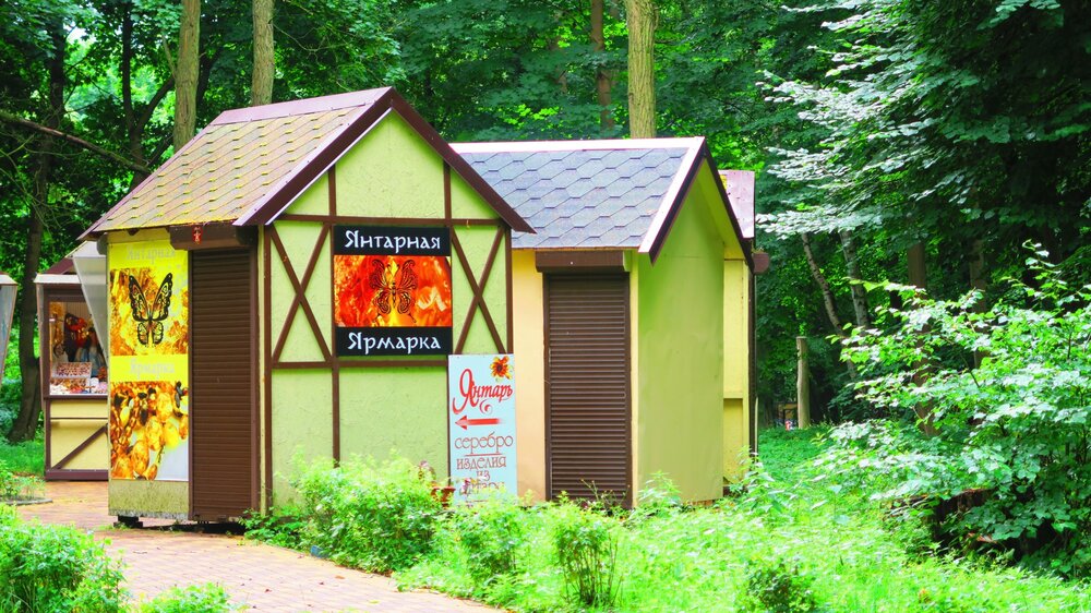 Калининград 389.jpg