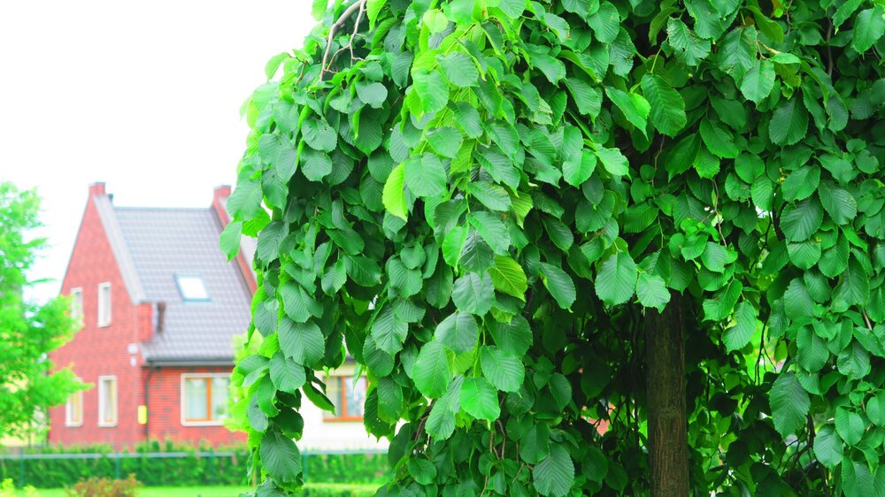 Калининград 333.jpg