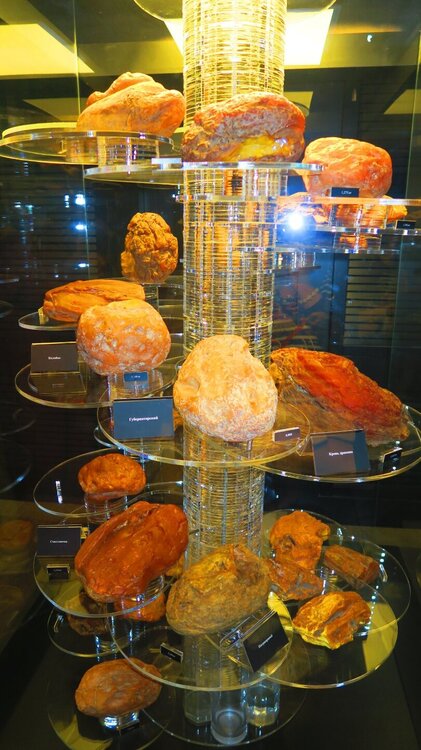 Калининград 370.jpg