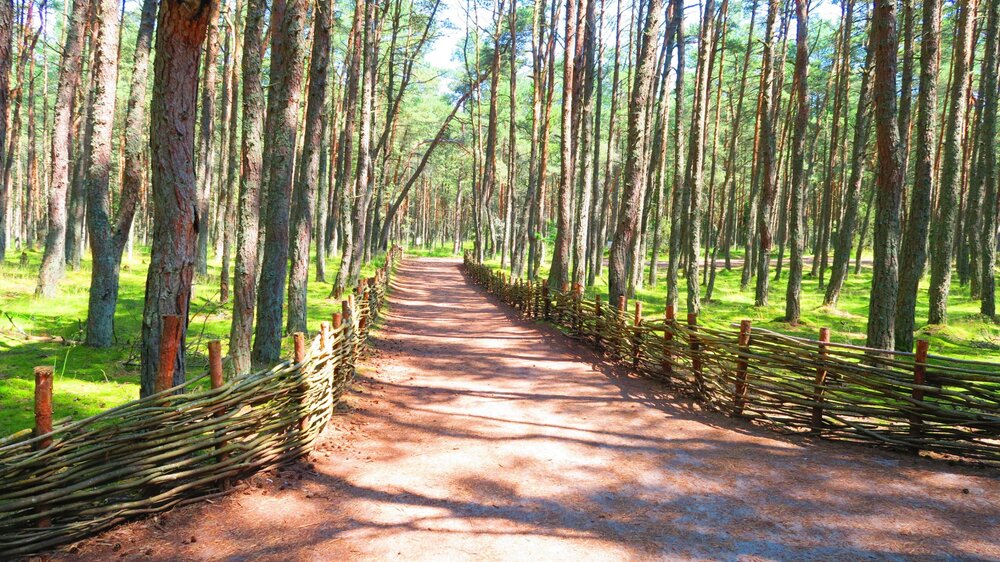 Калининград 484.jpg