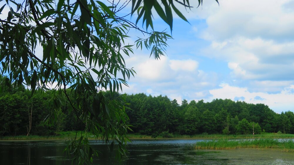 Калининград 862.jpg