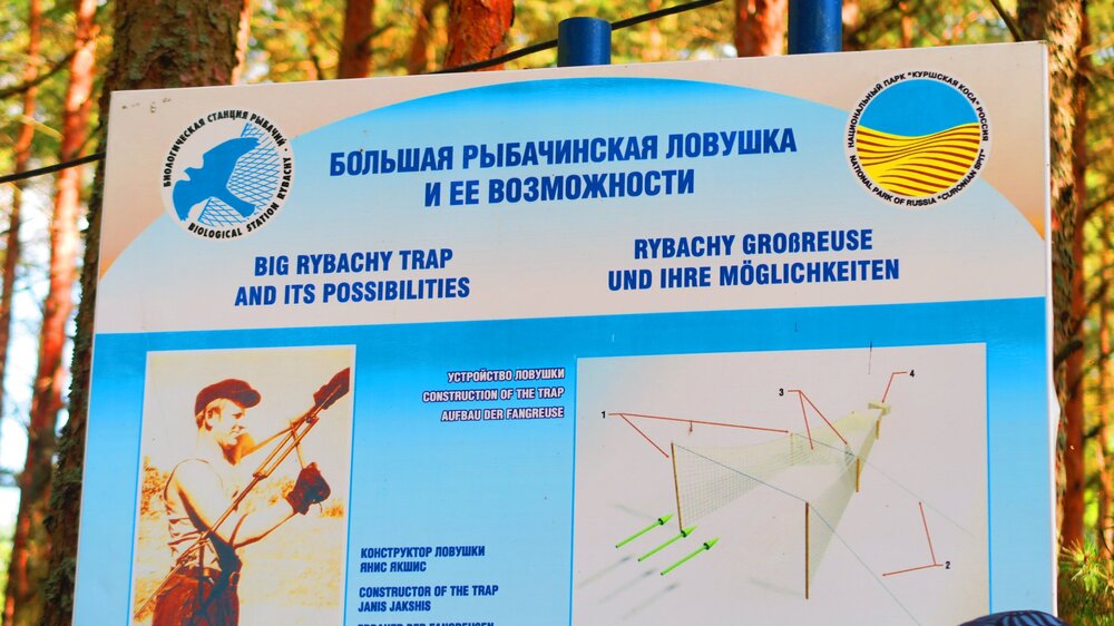 Калининград 475.jpg