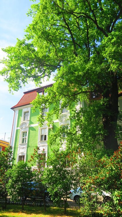 Калининград 035.jpg