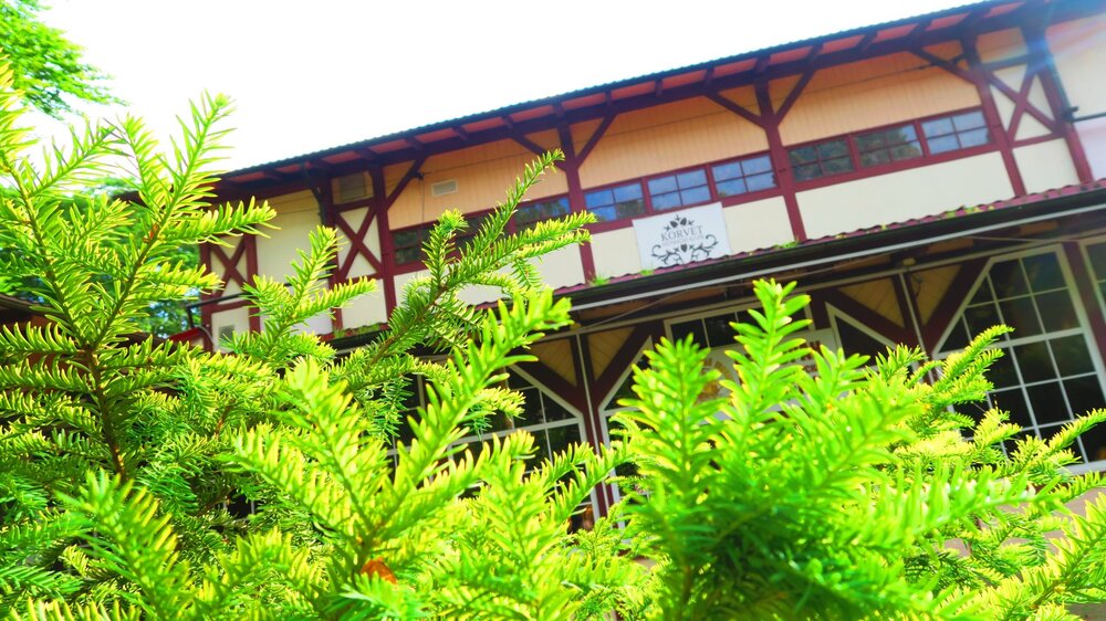 Калининград 407.jpg