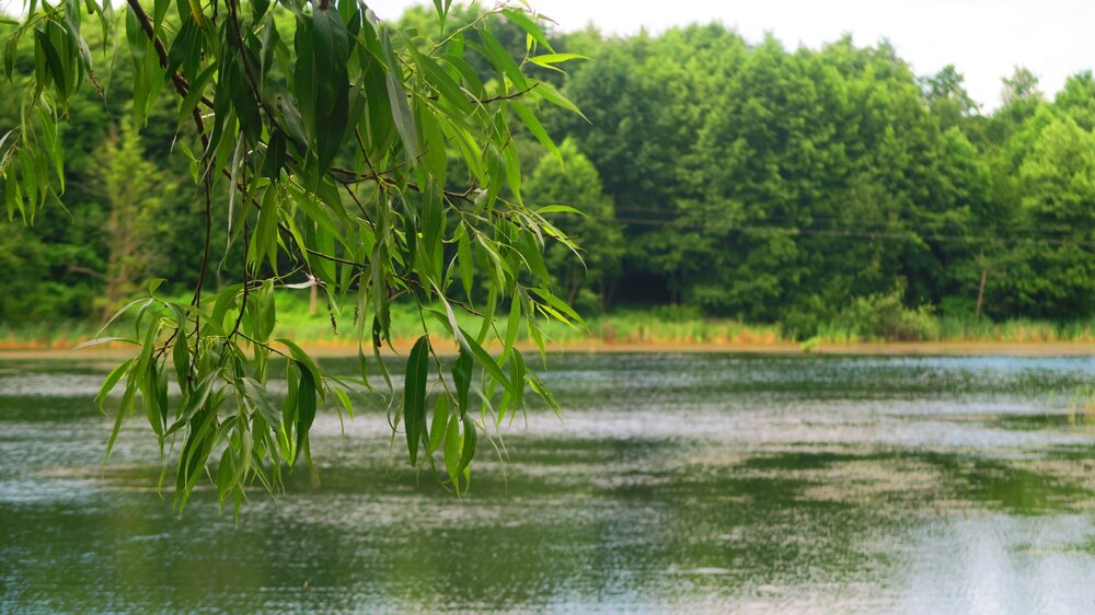 Калининград 863.jpg