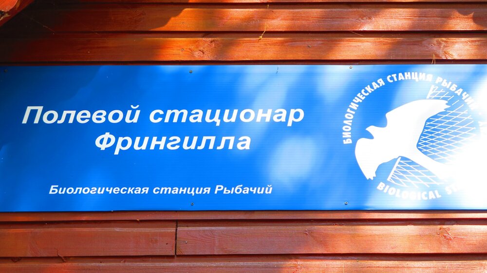 Калининград 479.jpg