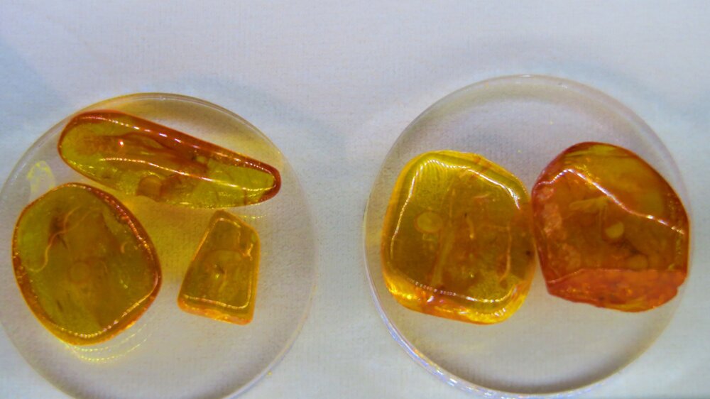 Калининград 359.jpg