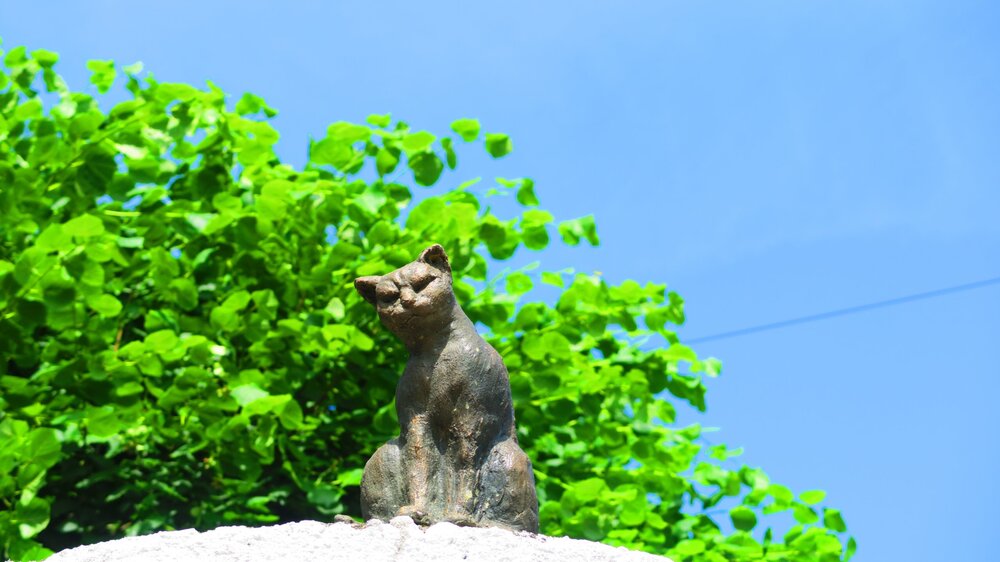 Калининград 296.jpg