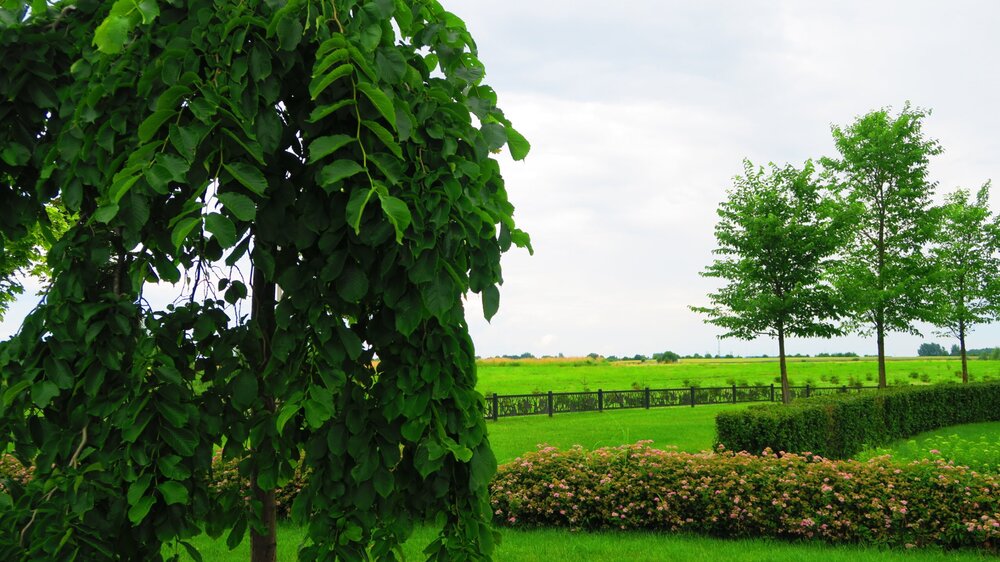 Калининград 332.jpg