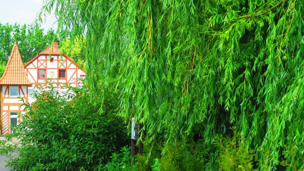 Калининград 190.jpg