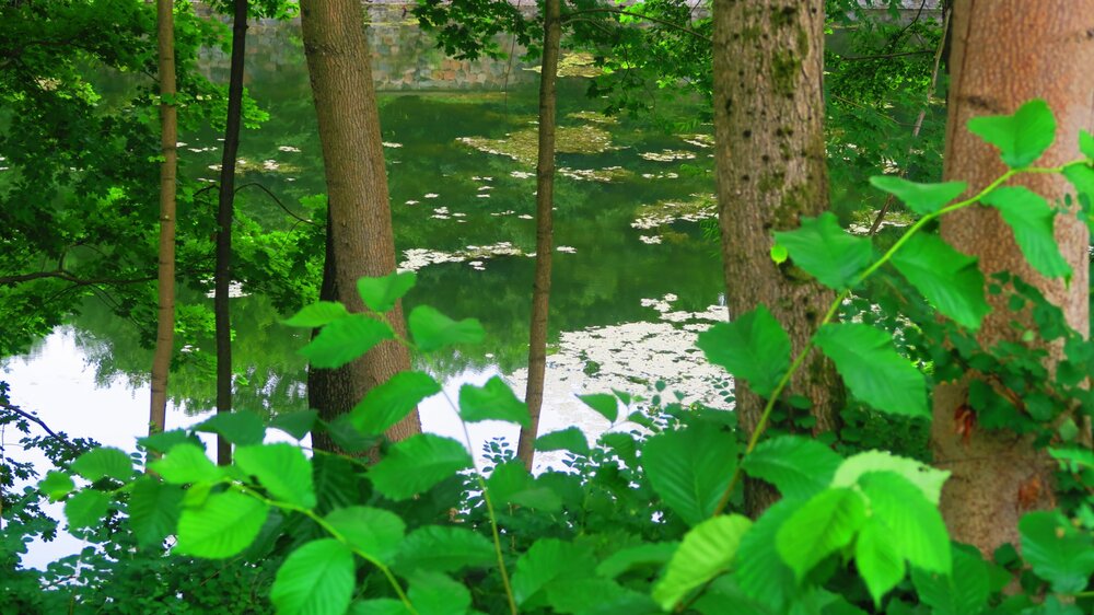 Калининград 818.jpg