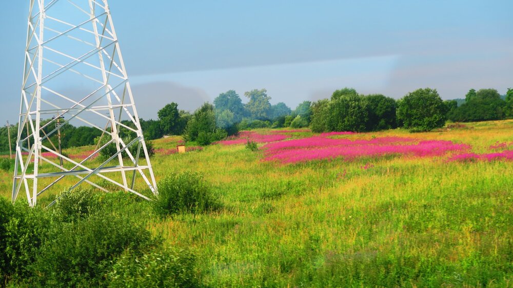 Калининград 660.jpg