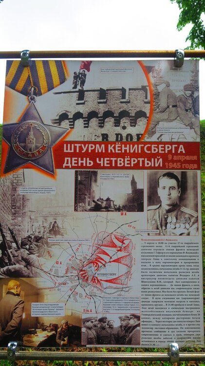 Калининград 800.jpg