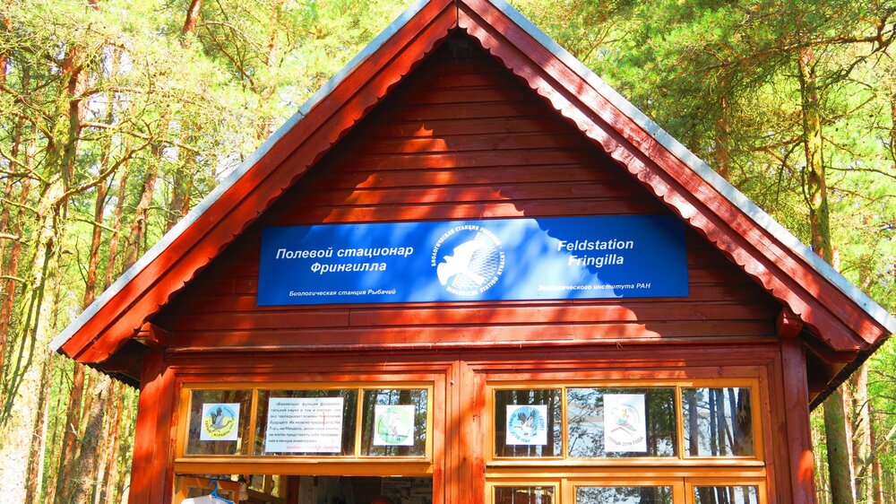 Калининград 478.jpg