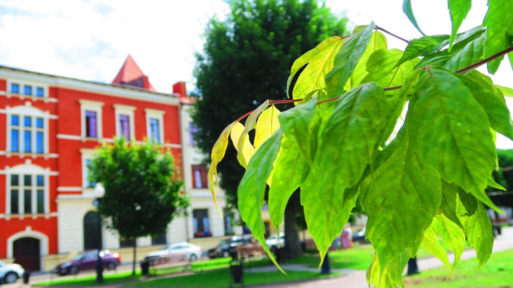 Калининград 270.jpg