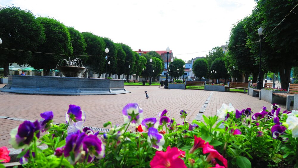 Калининград 271.jpg