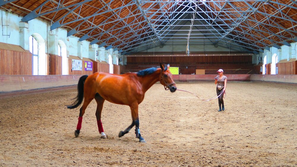 Калининград 318.jpg