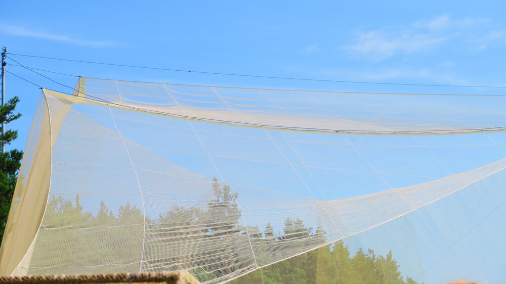 Калининград 477.jpg