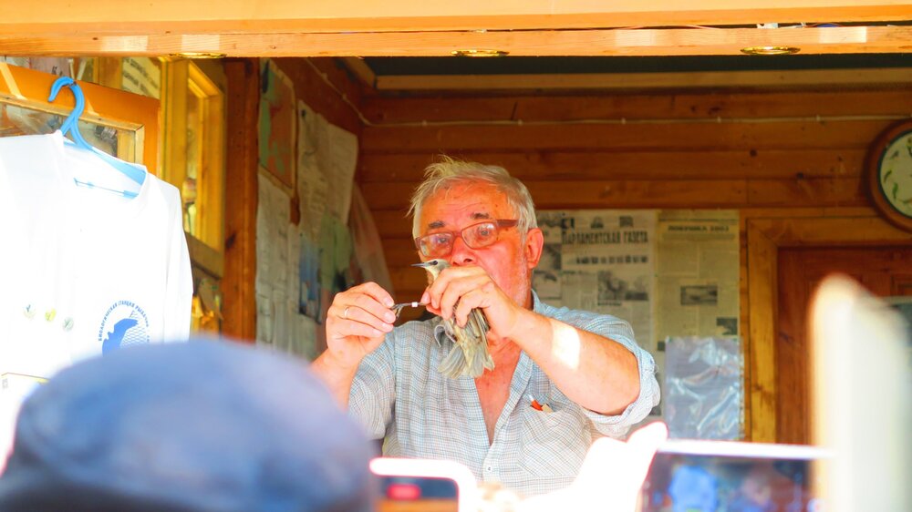 Калининград 480.jpg