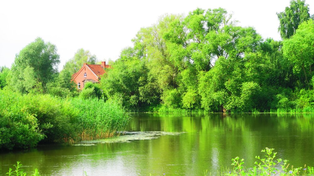 Калининград 264.jpg