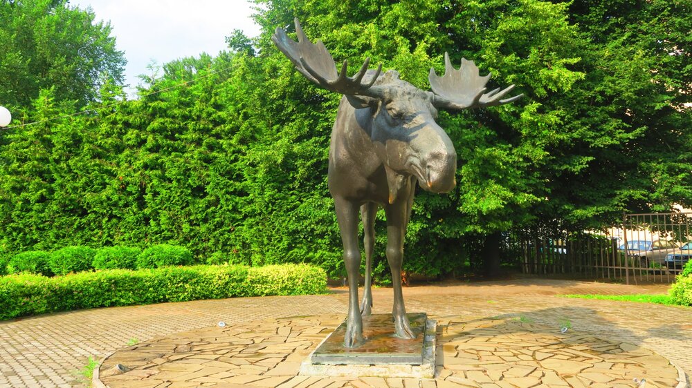 Калининград 642.jpg