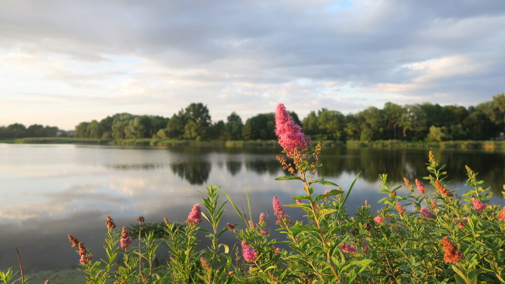 Калининград 250.jpg