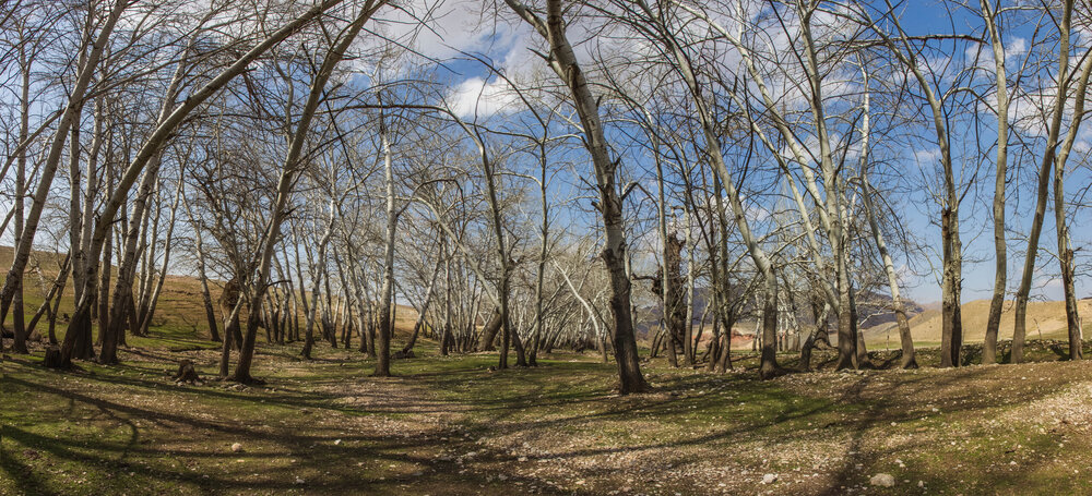 Мадыген аул.jpg