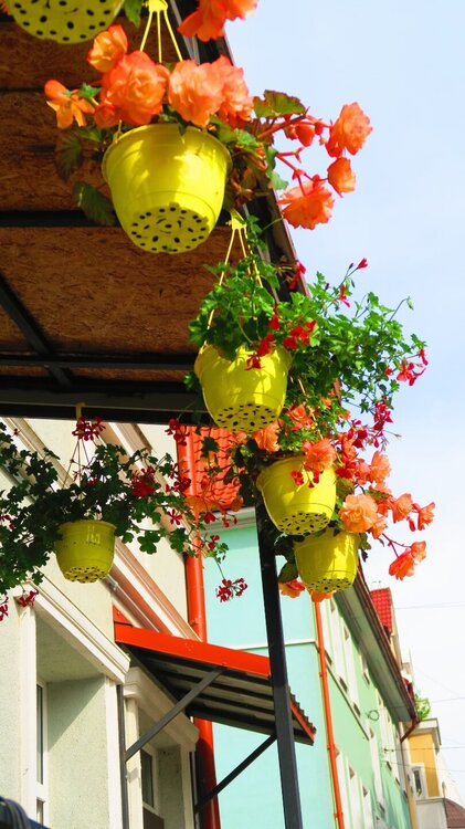 Калининград 267.jpg