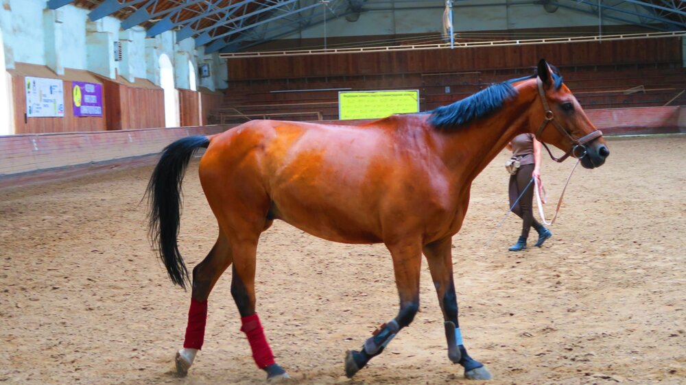 Калининград 319.jpg