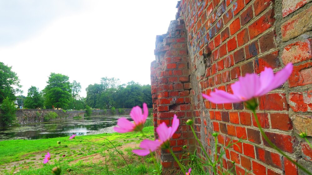 Калининград 830.jpg