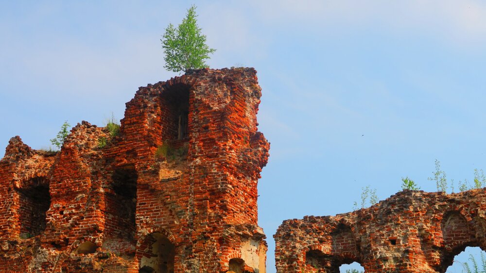 Калининград 599.jpg