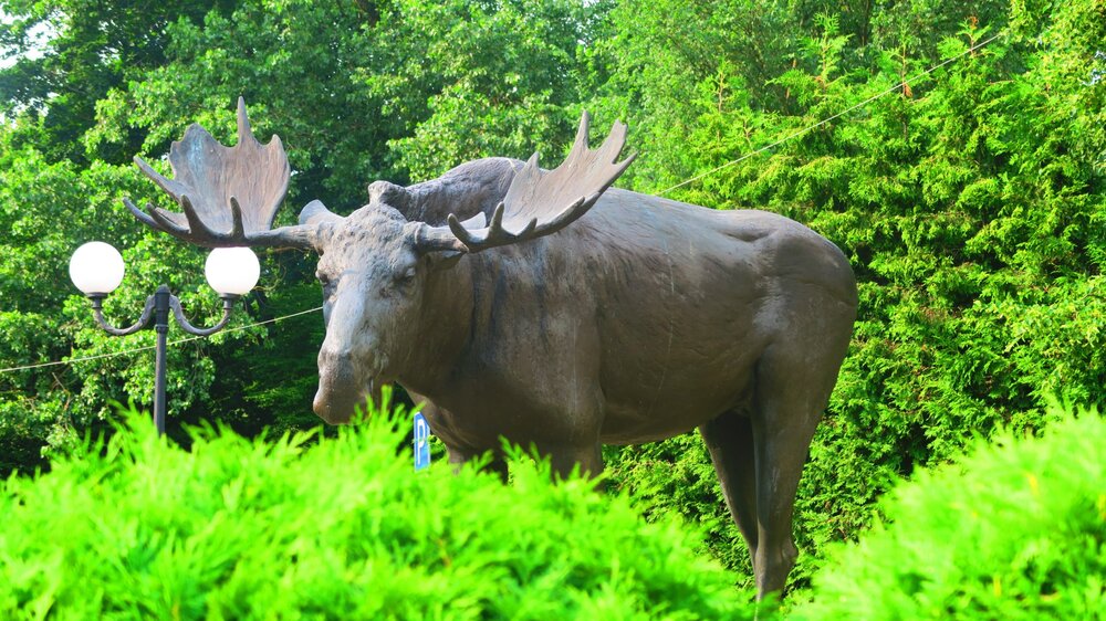 Калининград 641.jpg