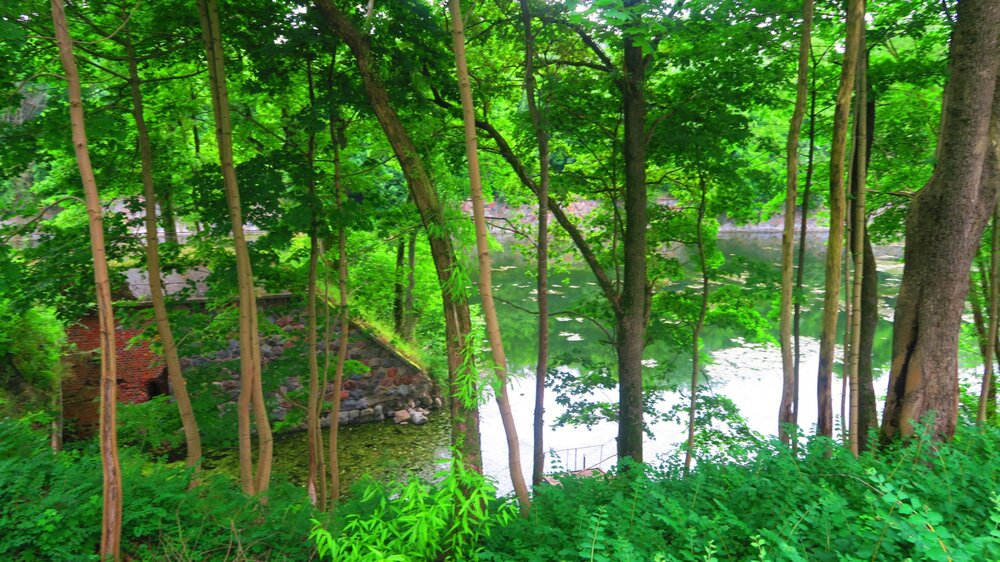 Калининград 819.jpg