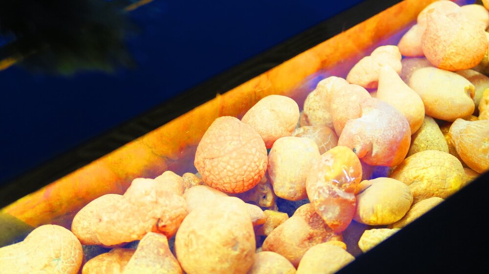 Калининград 358.jpg