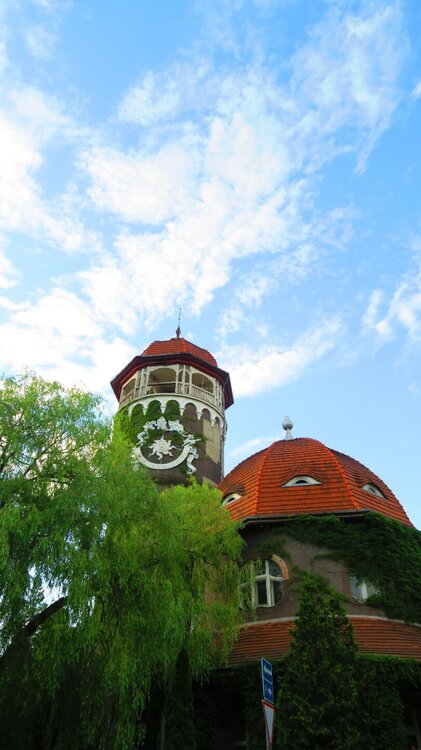 Калининград 422.jpg