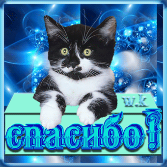 Спасибо.gif